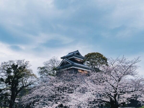 すまいる本店です😊の画像